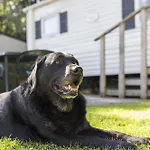 פארק נופש Oostappen Vakantiepark De Berckt Bv