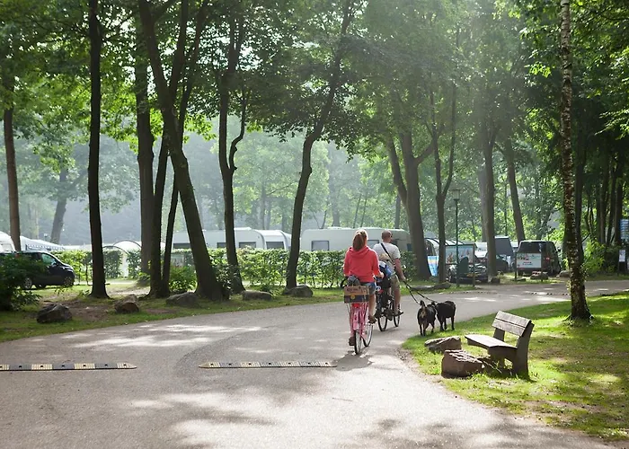 Oostappen Vakantiepark De Berckt Bv Holiday park