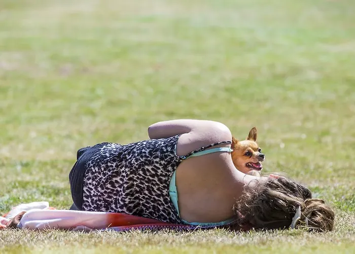 Oostappen Vakantiepark De Berckt Bv 3*