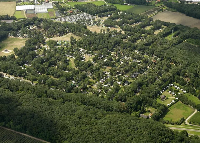 Holiday park Oostappen Vakantiepark De Berckt Bv 3*