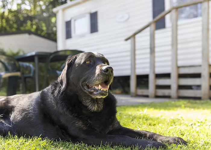 Holiday park Oostappen Vakantiepark De Berckt Bv